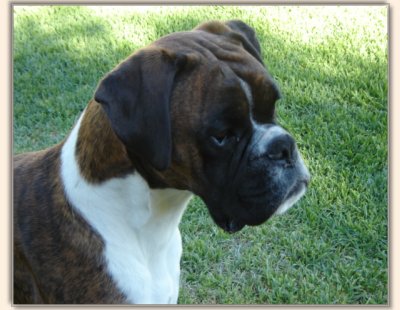 cooper2a.jpg - 33449 Bytes