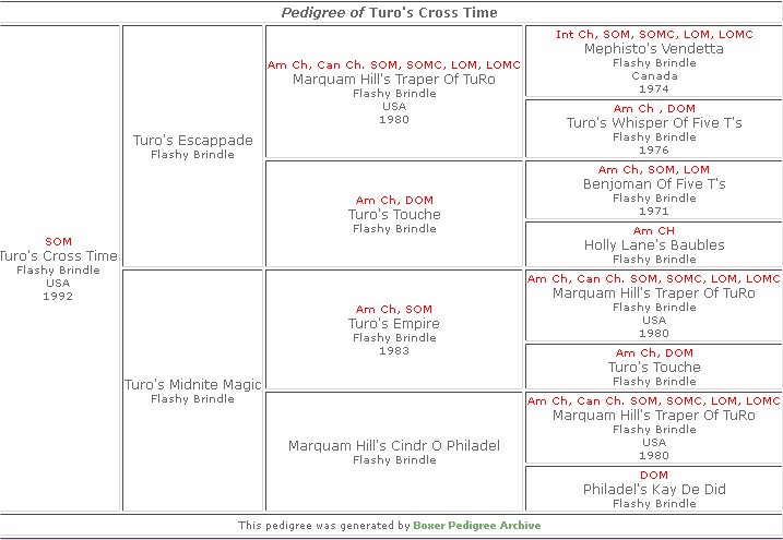 turoscrosstimepedigree.jpg - 68278 Bytes